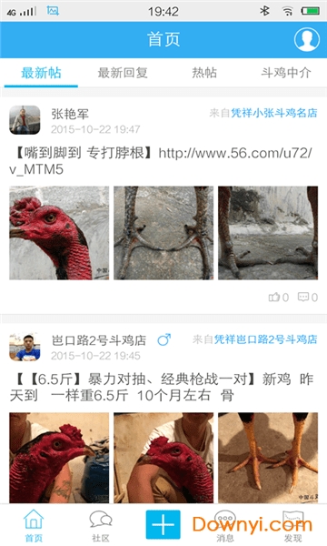 中国斗鸡论坛官方下载手机版