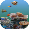 3d海底世界动态壁纸手机版下载安装