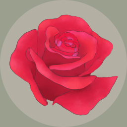 玫瑰花园最新版下载安装