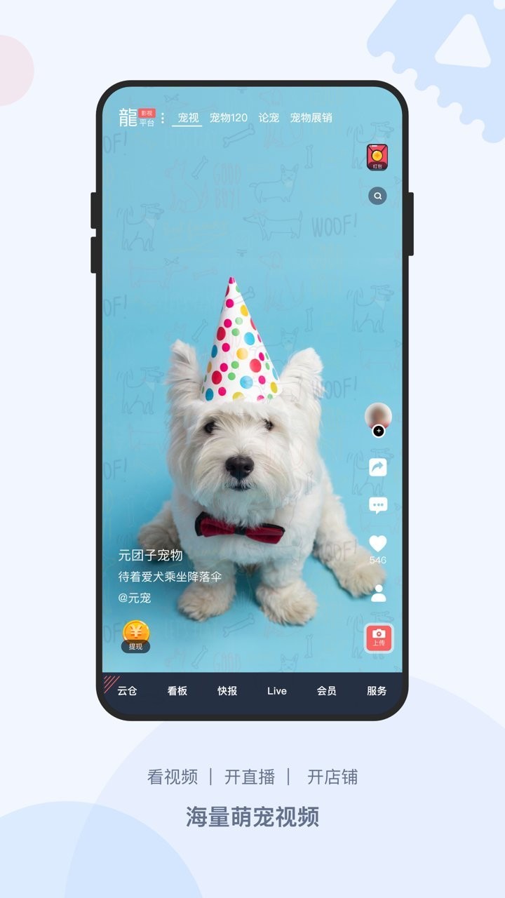 龙平台影视app官方下载安装