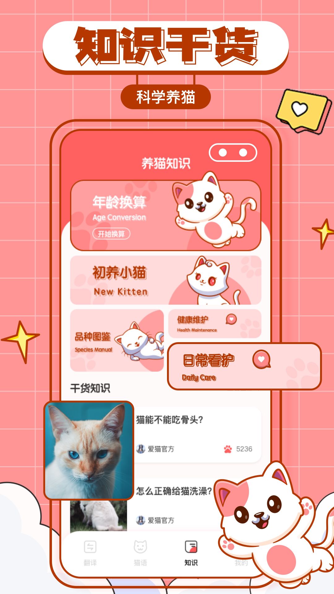 猫咪翻译物语app下载-猫咪翻译物语官方版下载