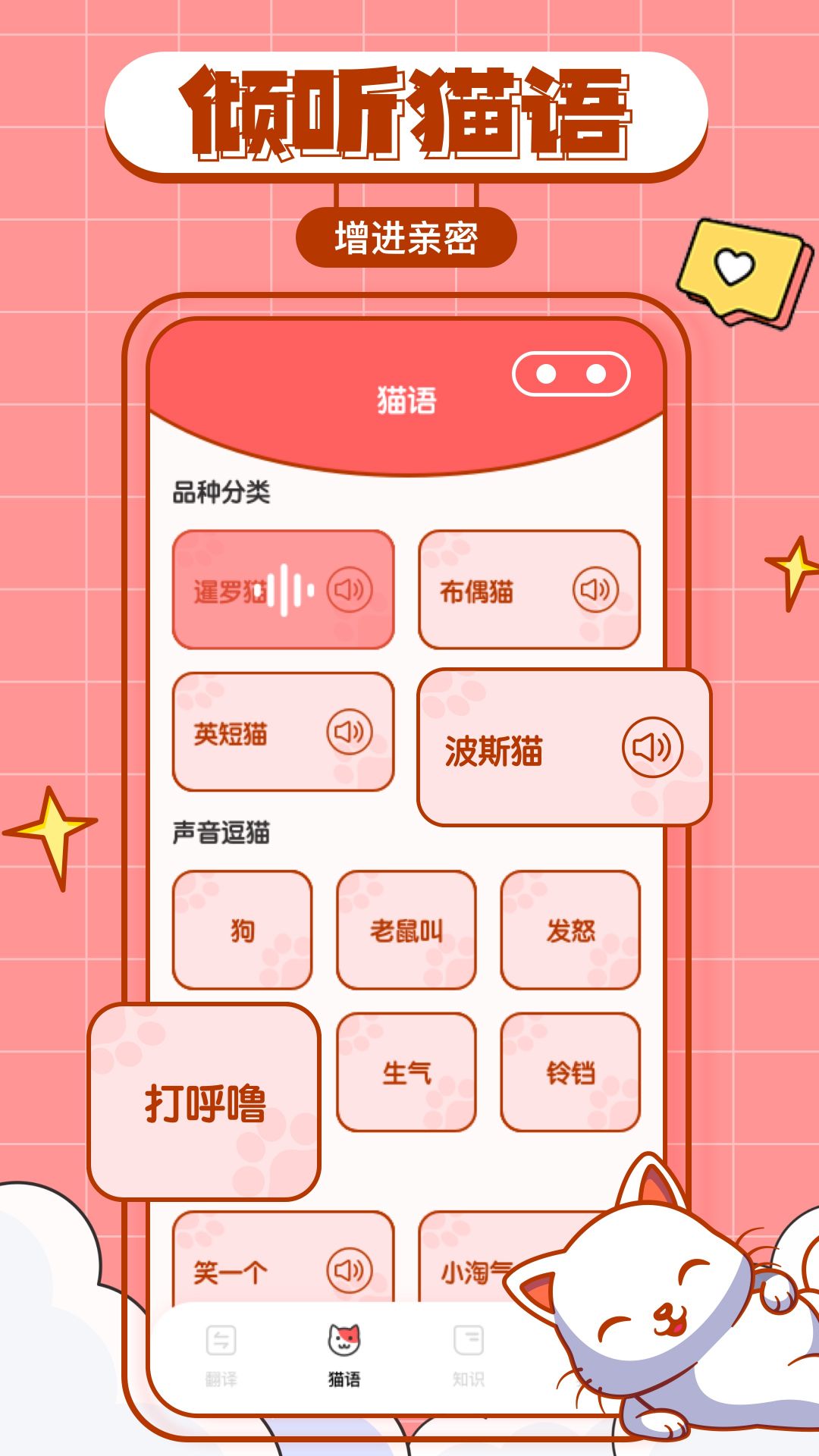 猫咪翻译物语app下载-猫咪翻译物语官方版下载